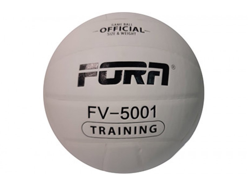Мяч волейбольный FV-5001