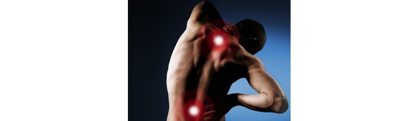 Восемь упражнений, которые позволят забыть о болях в спине, нет - четыре правила